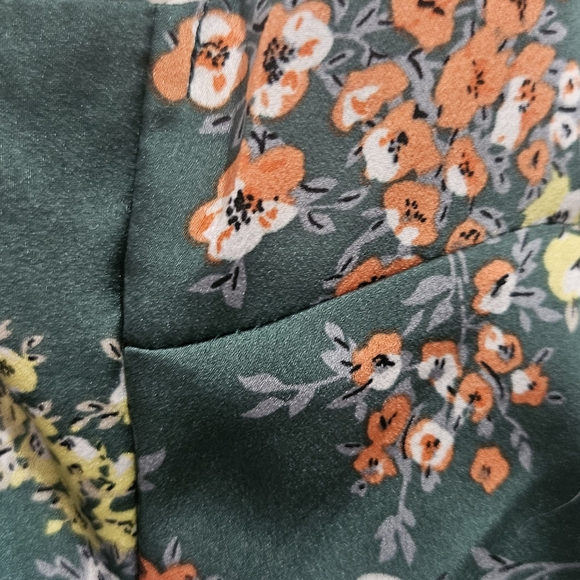 Petal & Pup Minka Dress - Green XS - Picture 11 of 15